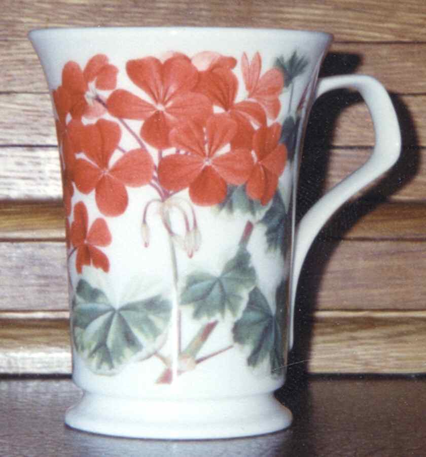 Canterbury Mug by Dunoon-1