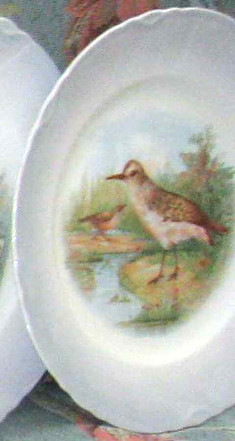 DRC46 Salad Plate by Dresden (USA)-1