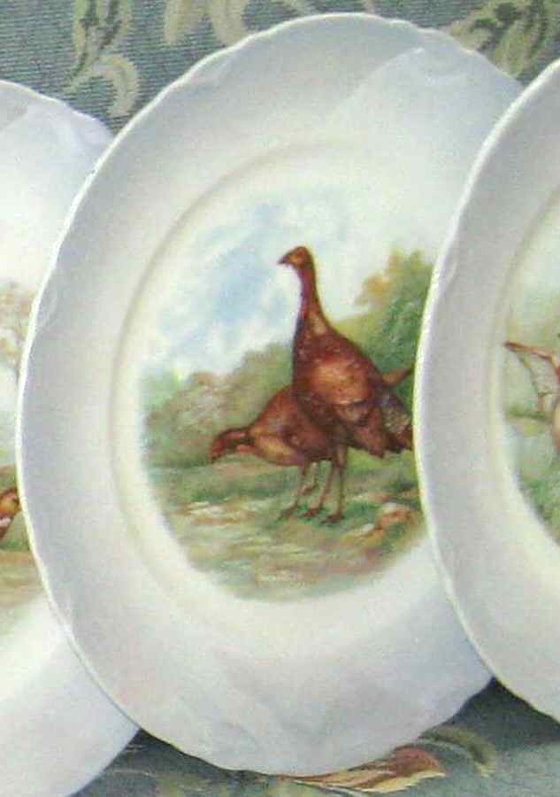 DRC46 Salad Plate by Dresden (USA)-1