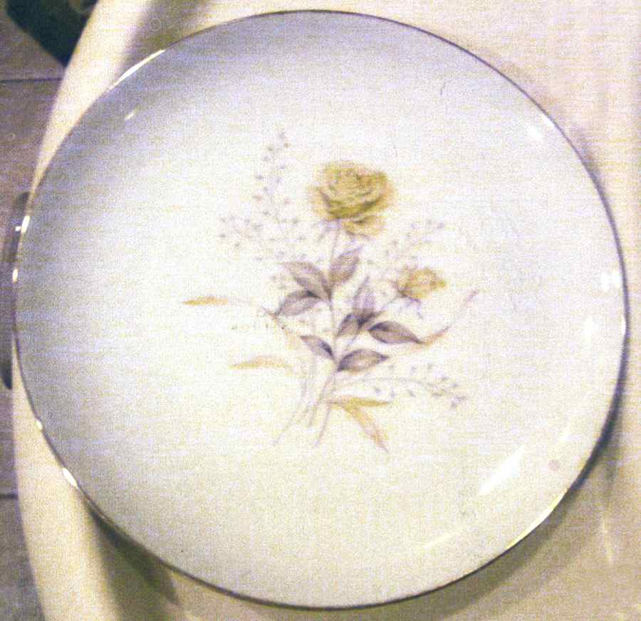 DR2 Dinner Plate by Dreemco-1