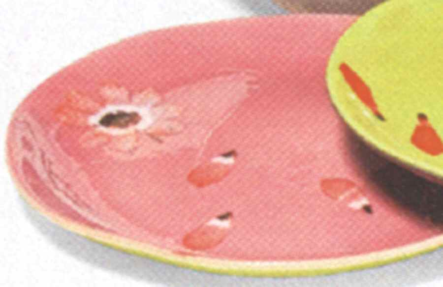 Petals (Tickle Collection) Salad Plate by Department 56-1