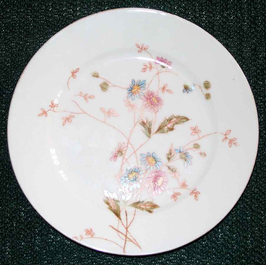 DEI178 Dinner Plate by Delinieres-1