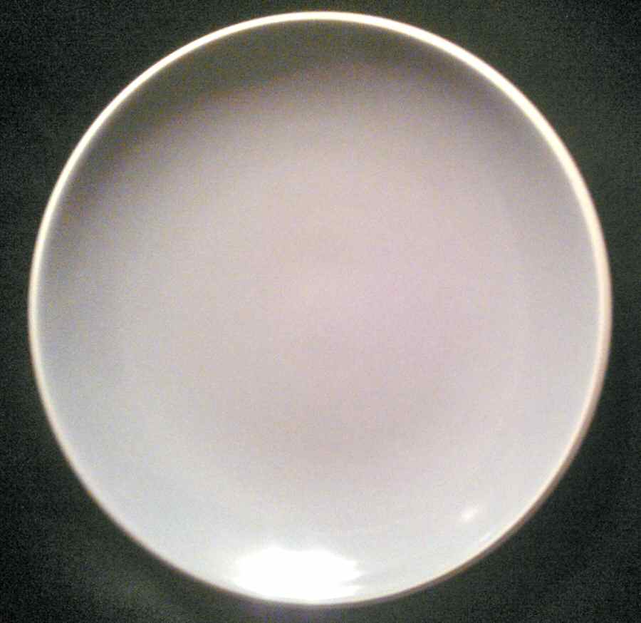 Edge Grey Dinner Plate by Denby-Langley-1