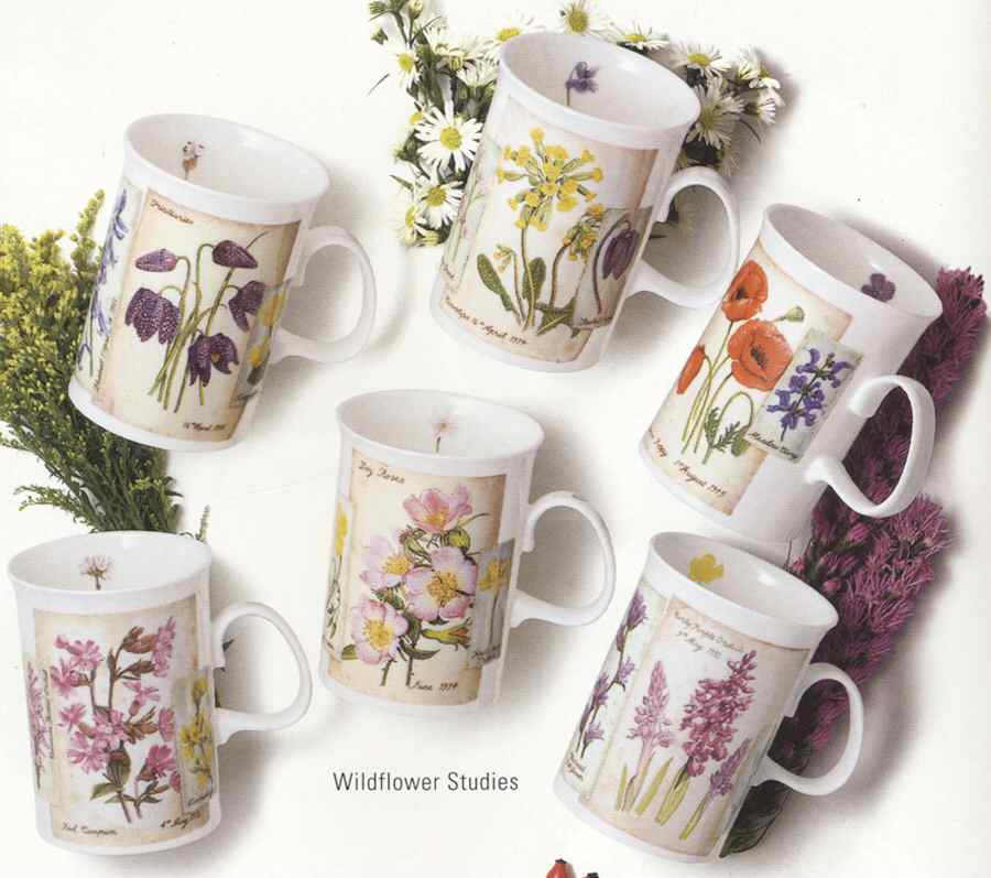 Wildflower Studies Mug by Dunoon-1