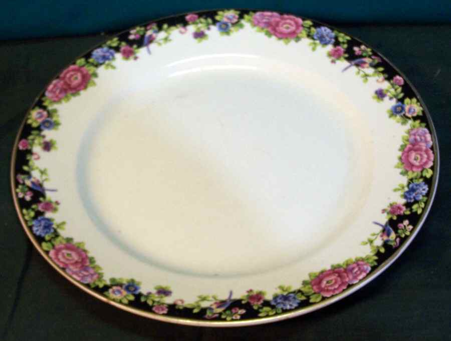DWT2 Dinner Plate by Dudson, Wilcox & Till-1