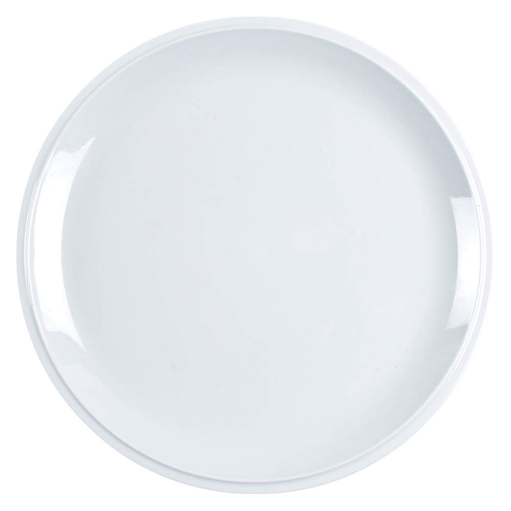 DEN40 Dinner Plate by Denby-Langley-1