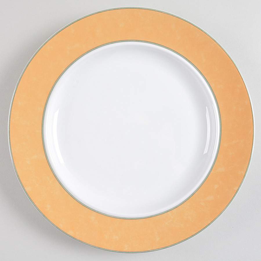 Cafe Band Dinner Plate by Dansk-1