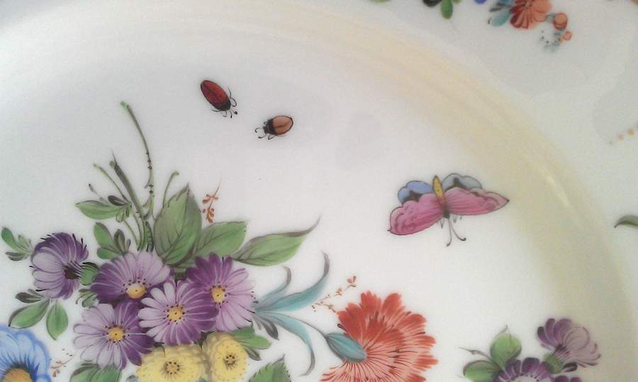 DRE141 Dinner Plate by Dresden (German)-1