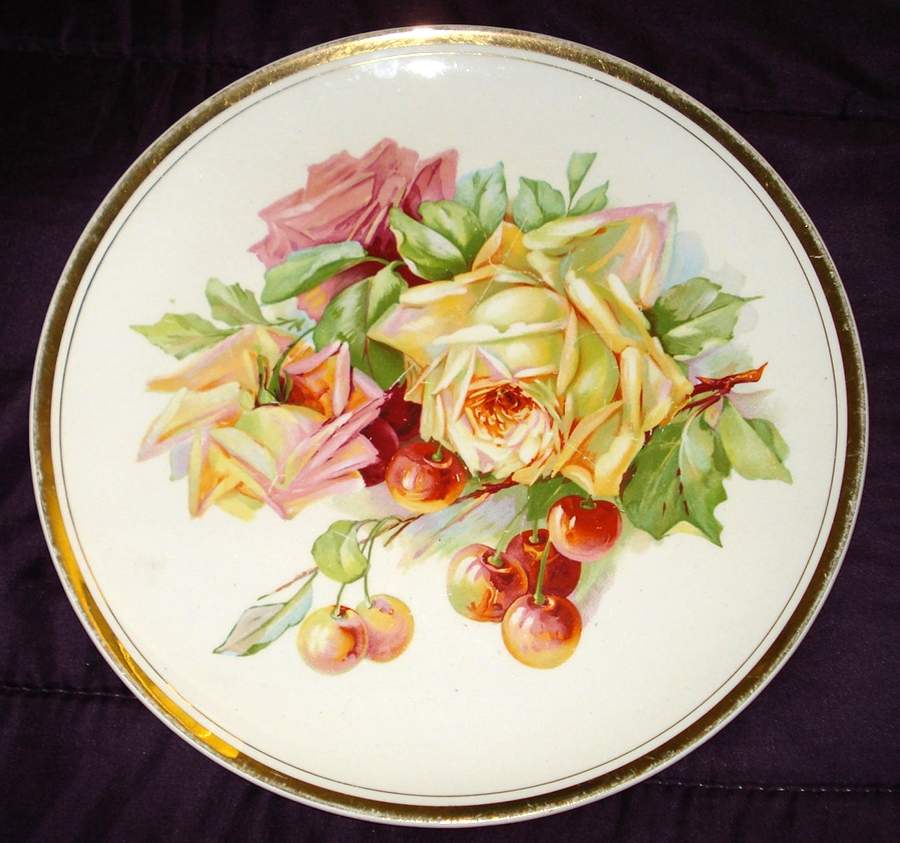 D3329 Dinner Plate by Dresden (USA)-1