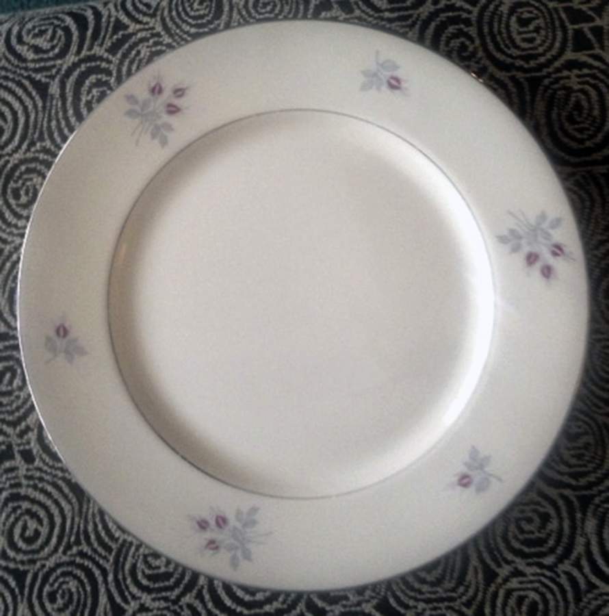 DSU4 Dinner Plate by Dsc China-USA-1