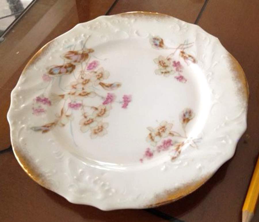 DRE147 Dinner Plate by Dresden (German)-1