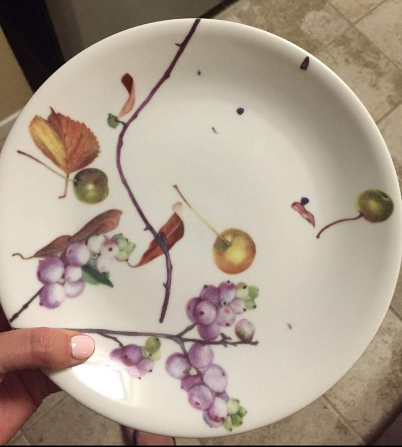 DHO2 Dinner Plate by Driade Kosmos-1