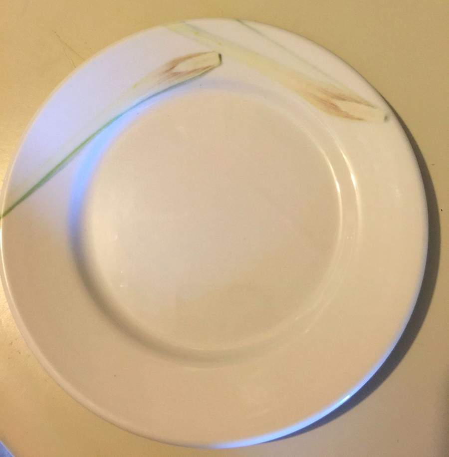DUD17 Dinner Plate by Dudson-1