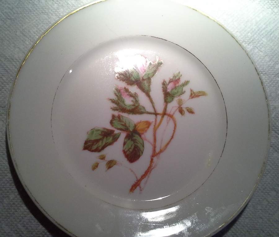 DEI223 Salad Plate by Delinieres-1