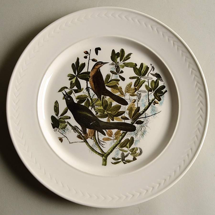 Birds of America (Laurel Rim) Dinner Plate by Delano Studios-1