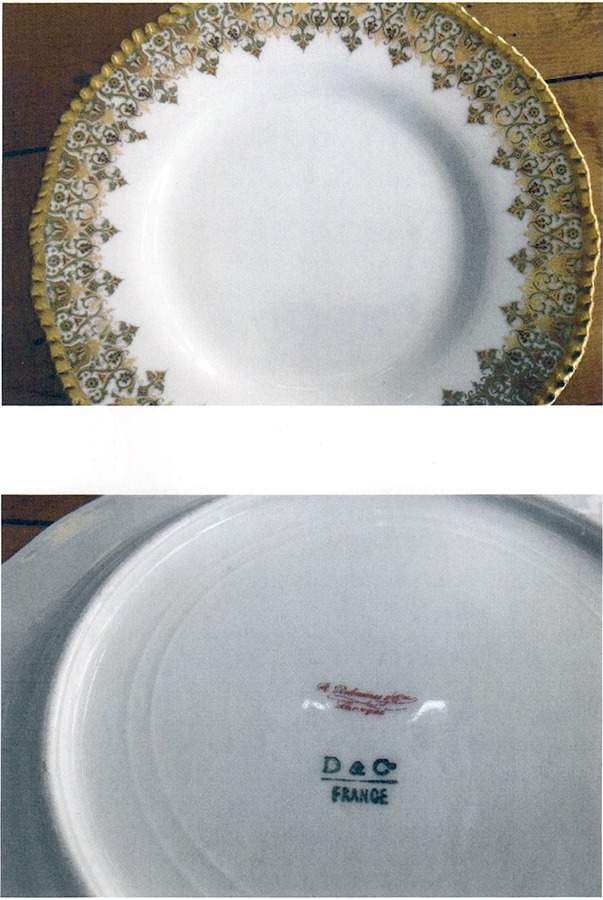 DEI228 Dinner Plate by Delinieres-1