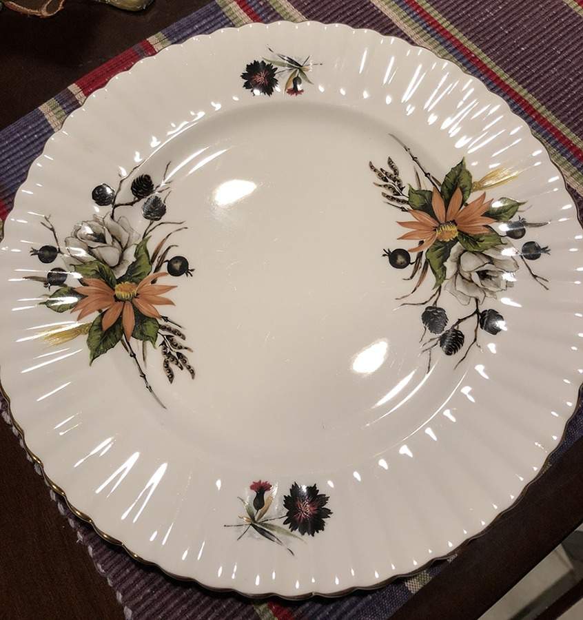 DCT4 Dinner Plate by Dorchester (England)-1