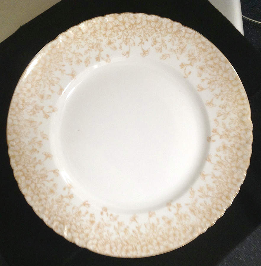DEI231 Dinner Plate by Delinieres-1