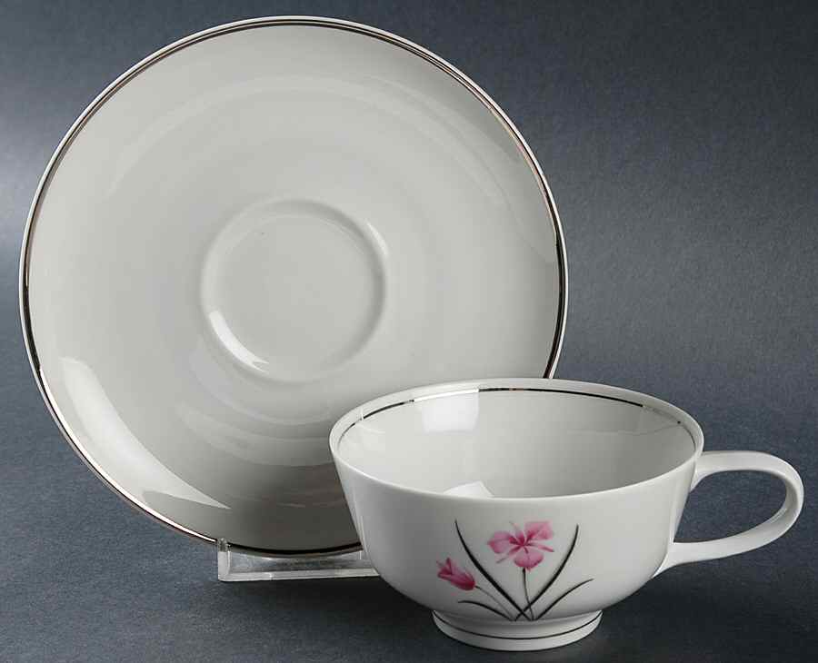 Caprice Footed Cup & Saucer Set by Easterling-1
