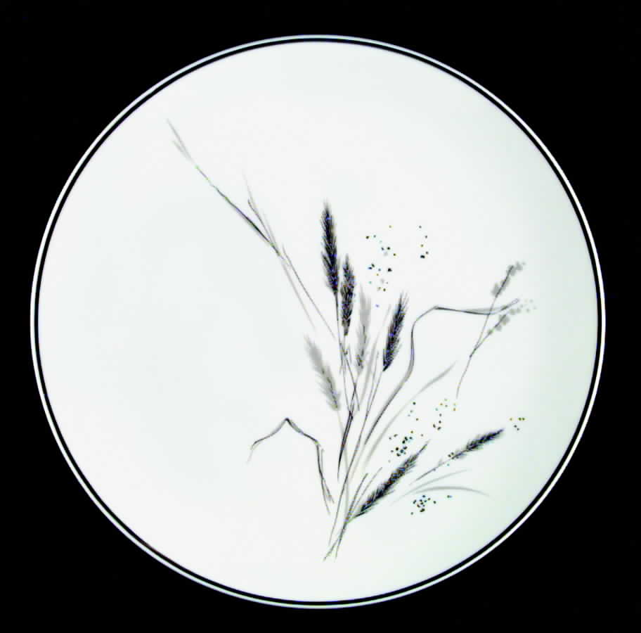Ceralia Dinner Plate by Easterling-1