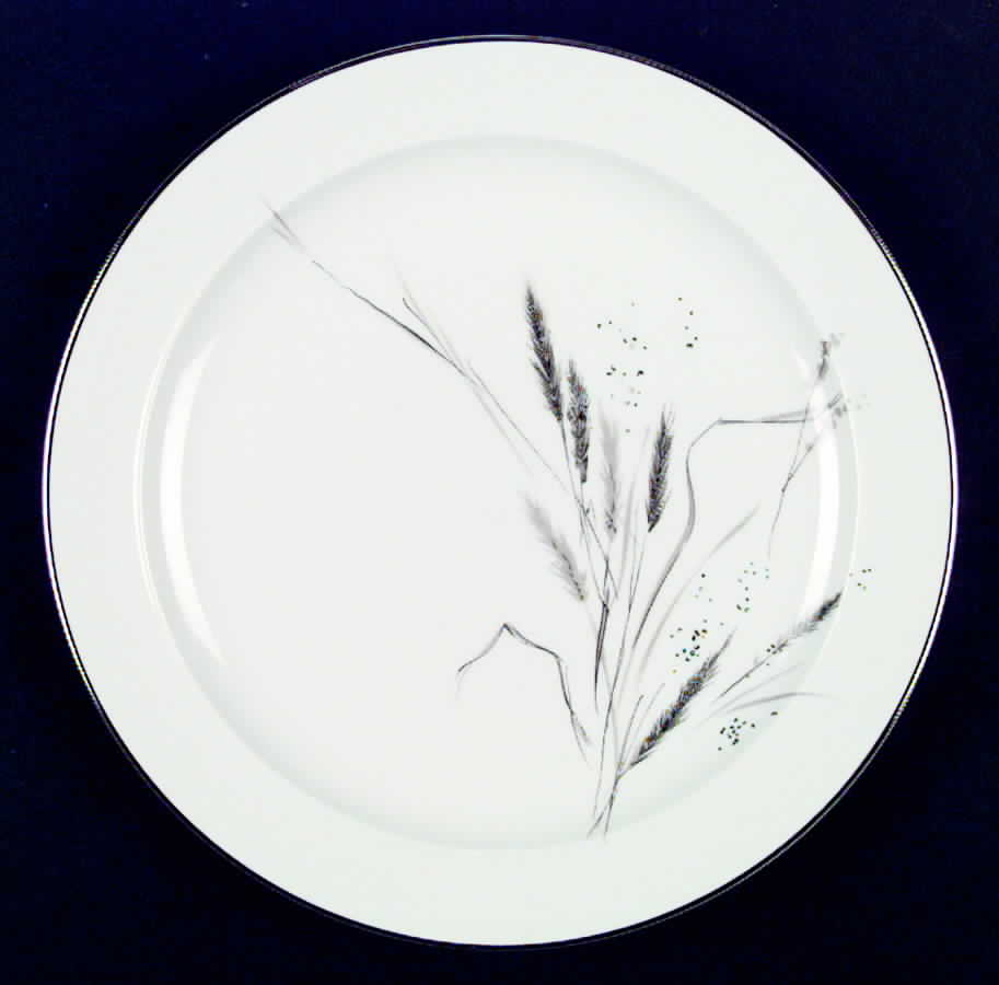 Kora Dinner Plate by Easterling-1