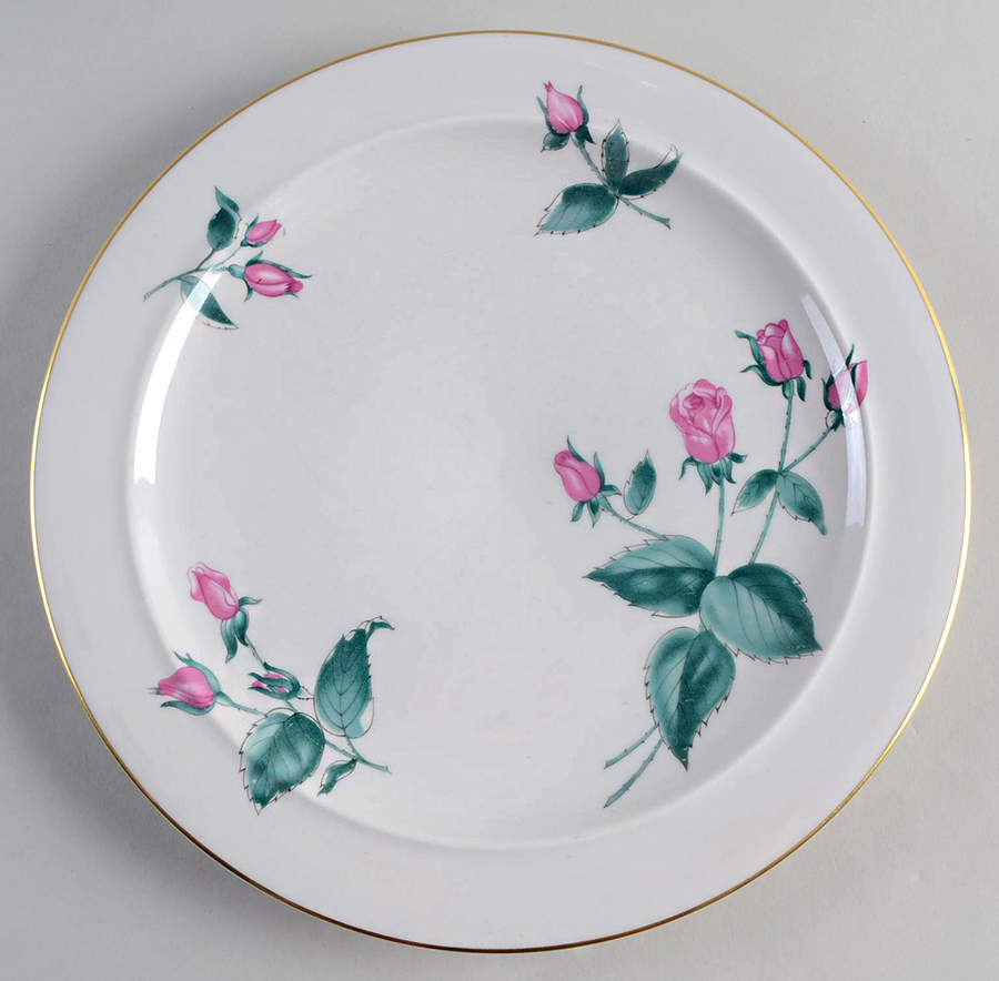 Radiance Dinner Plate by Easterling-1
