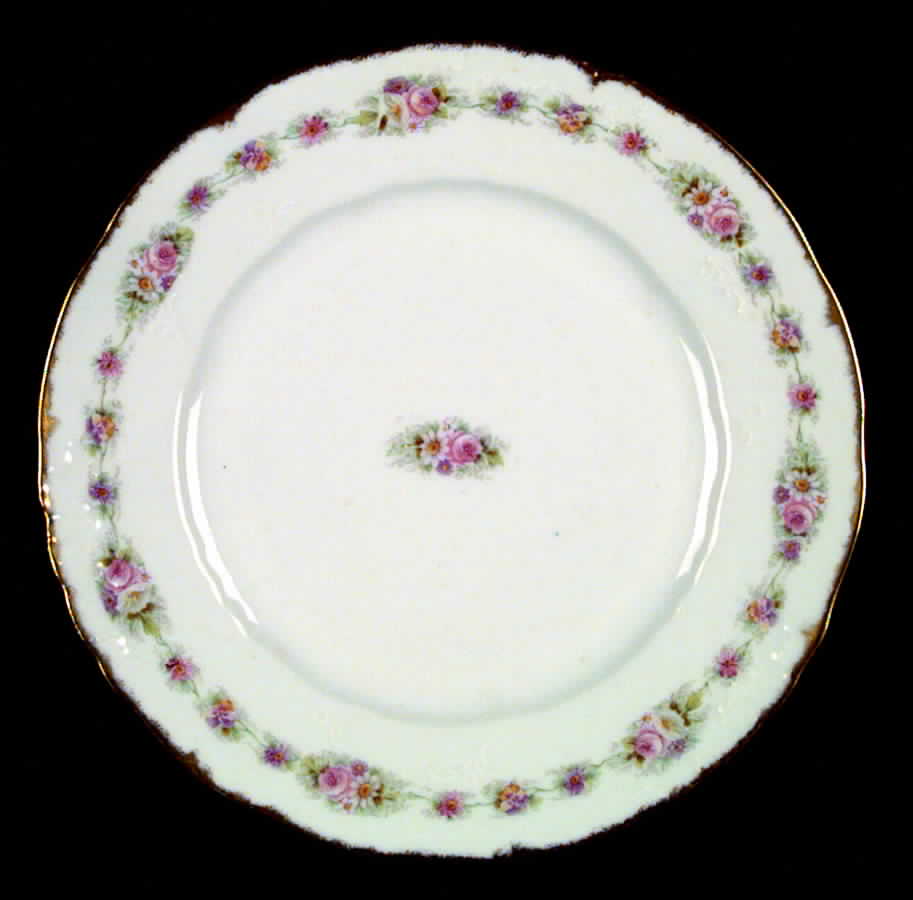 ECR1 Dinner Plate by Elite Creation-1