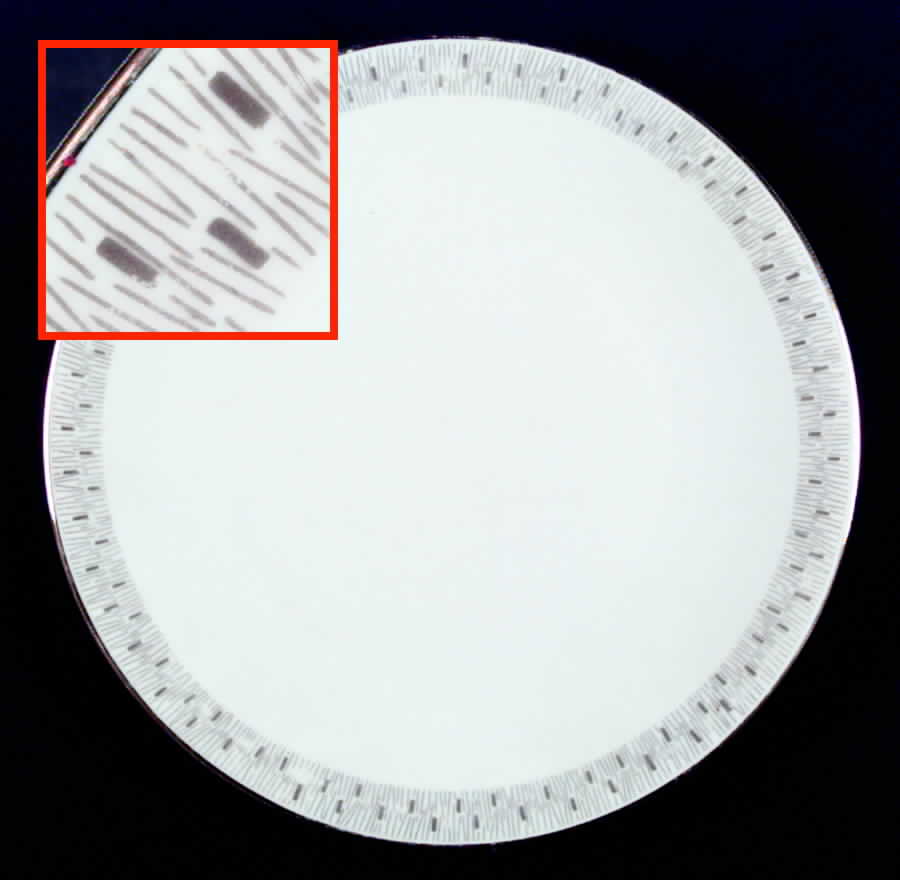 19569 Dinner Plate by Edelstein-1