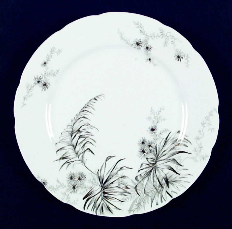 Palm Luncheon Plate by John Edwards-1