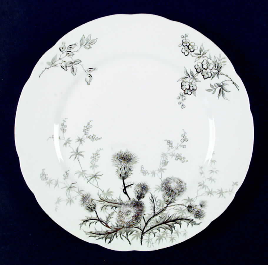 Thistle (Green Gray) Dinner Plate by John Edwards-1