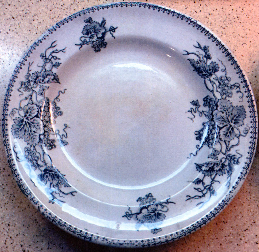 Vine (Smooth) Dinner Plate by James Edwards & Son-1