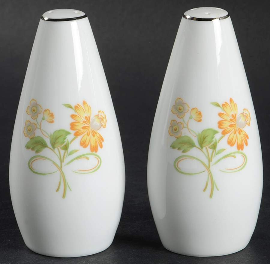 Floral Generation Salt & Pepper Set by Ekco-1