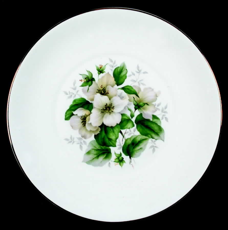 Dogwood (Smooth) Dinner Plate by Elizabethan-1