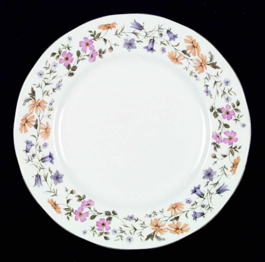 Sheringham Dinner Plate by Elizabethan-1