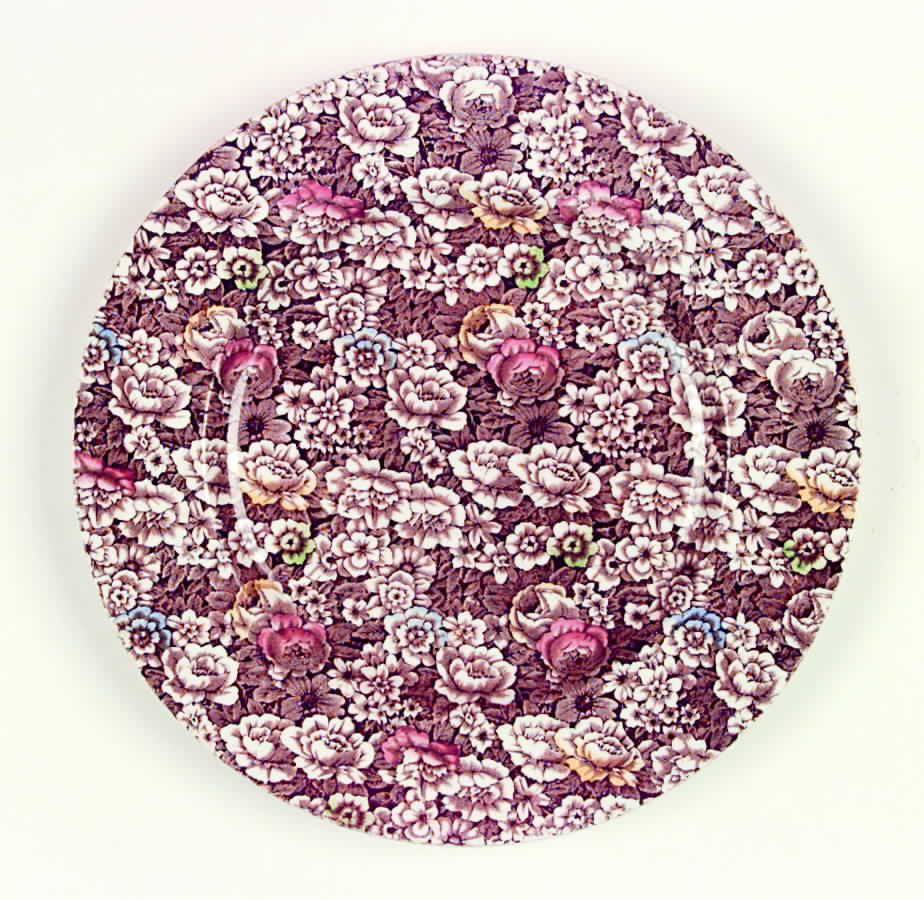 Rosalie Brown Multicolor Dinner Plate by Empire Porcelain -1