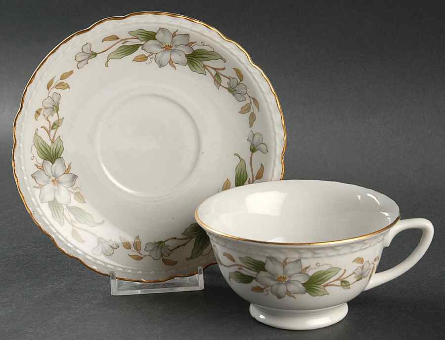 Dogwood Footed Cup & Saucer Set by Embassy (American)-1