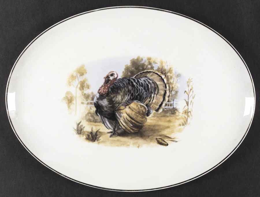 EMB14 (AMERICAN) 15" Oval Serving Platter by Embassy (American)-1