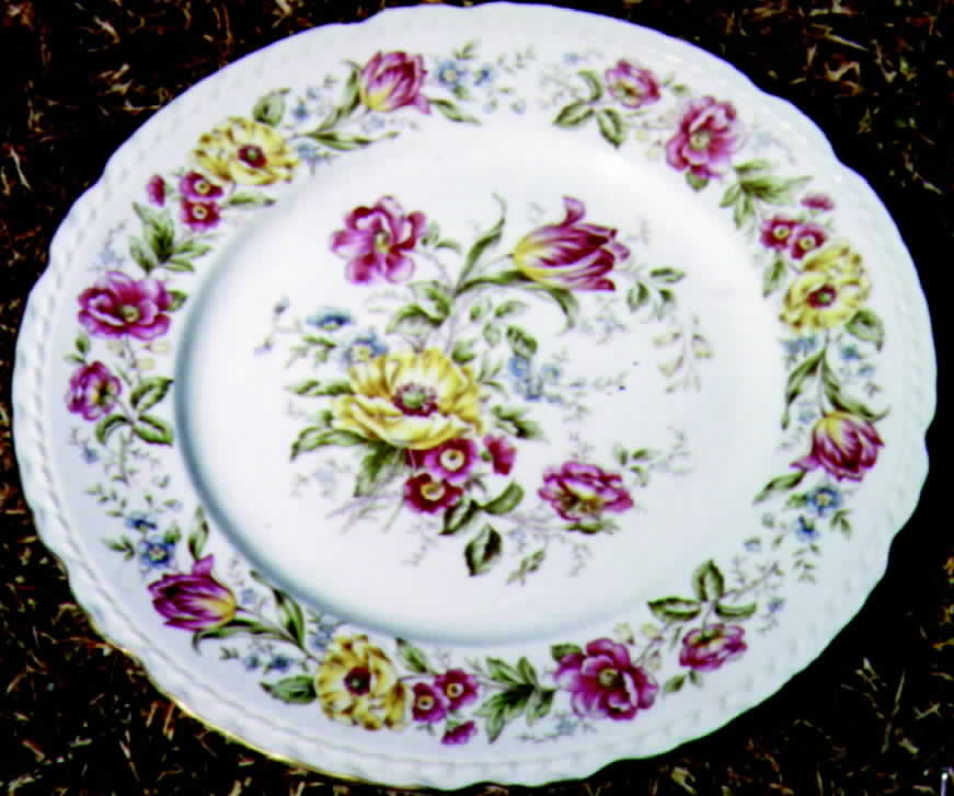 EMB22 (AMERICAN) Dinner Plate by Embassy (American)-1