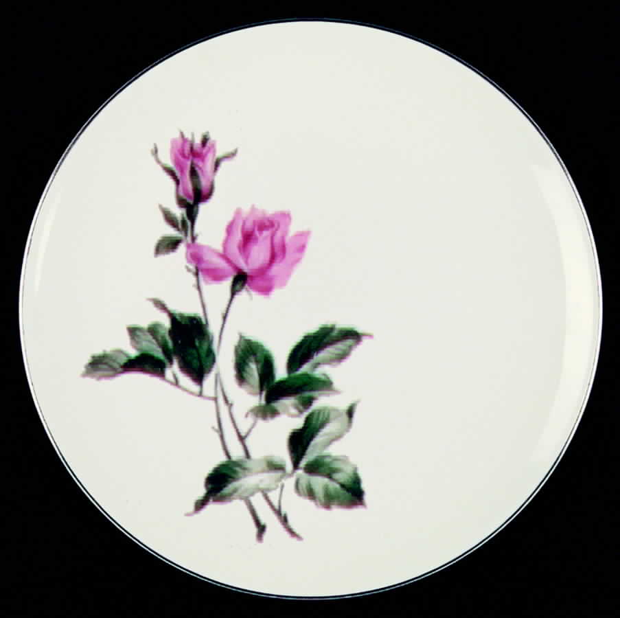EMB25 (AMERICAN) Dinner Plate by Embassy (American)-1