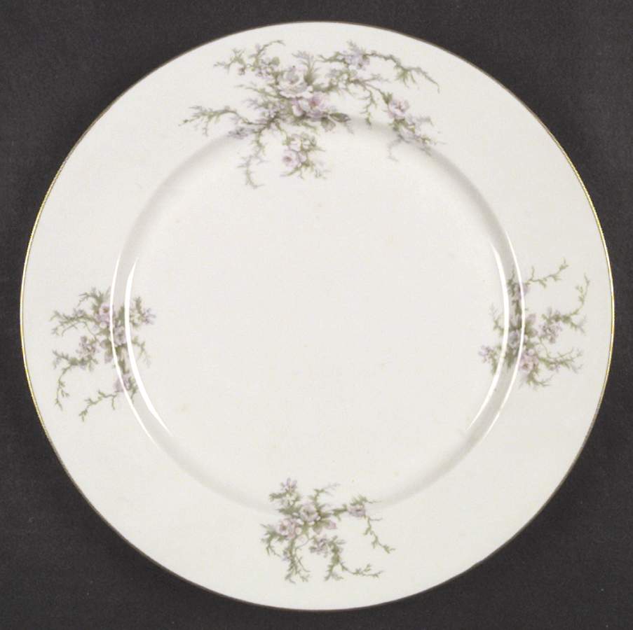 EMB8 (AMERICAN) Dinner Plate by Embassy (American)-1