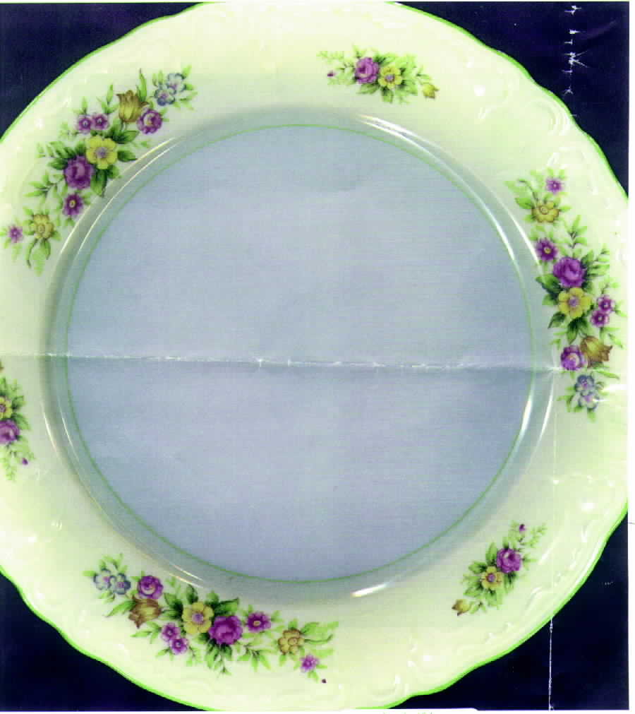 EMJ2 Dinner Plate by Embassy (Japan)-1