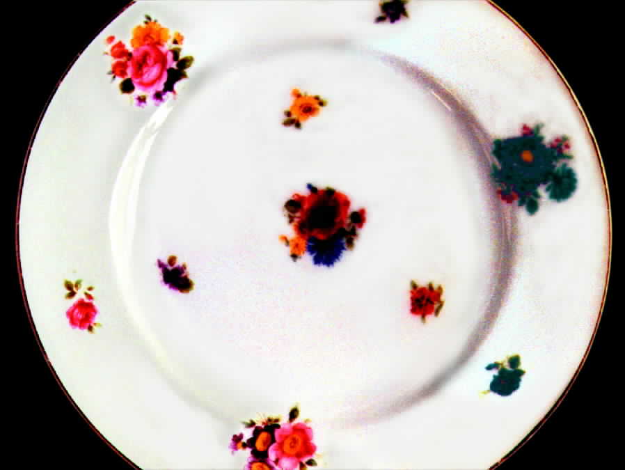 10391 Dinner Plate by Epiag-1