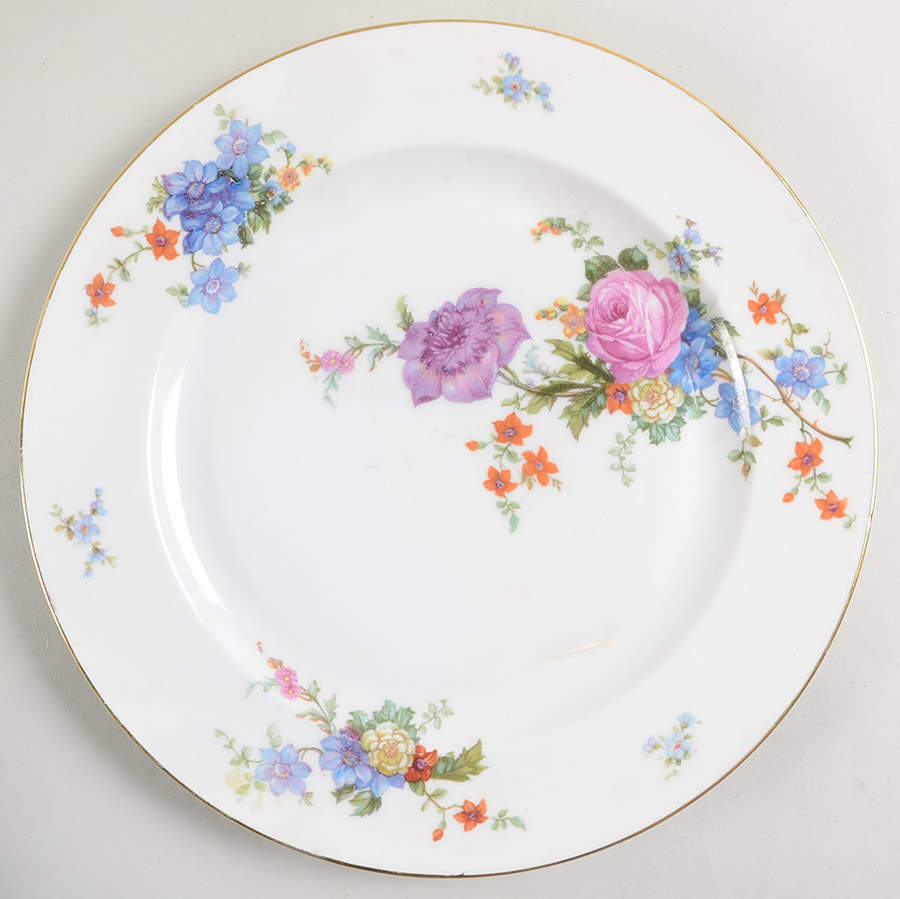 5748 (White Background) Dinner Plate by Epiag-1