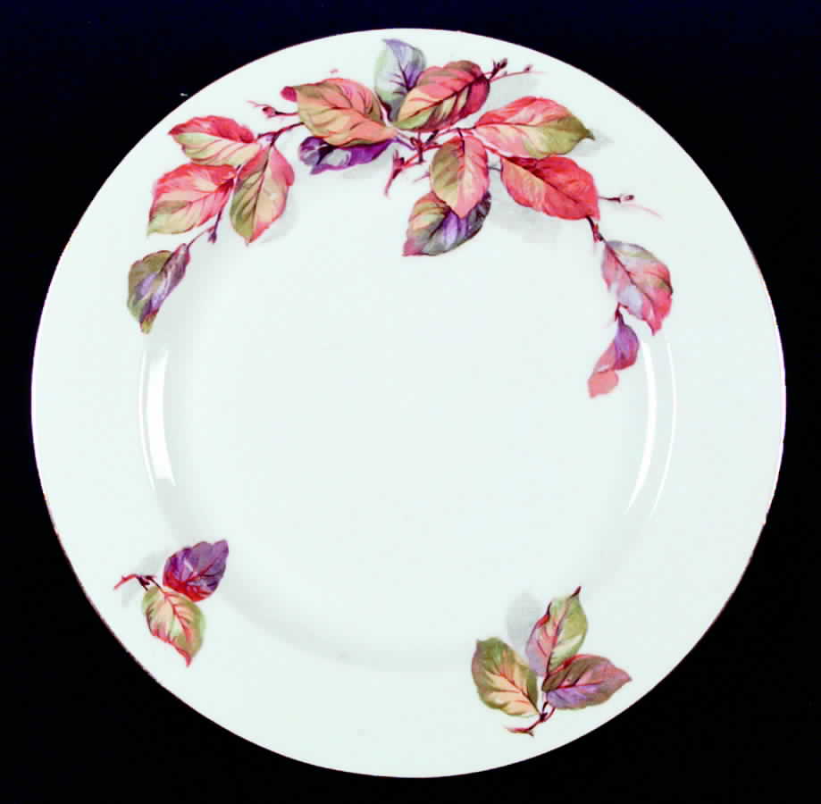 7366 Dinner Plate by Epiag-1