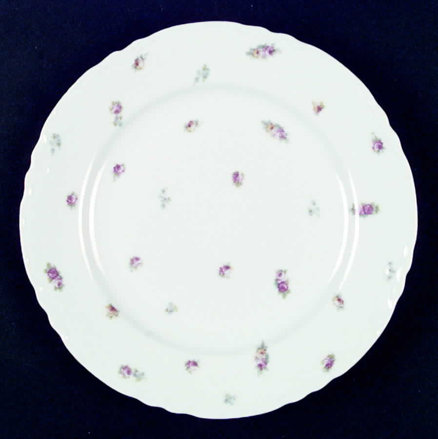 EPI10 Dinner Plate by Epiag-1