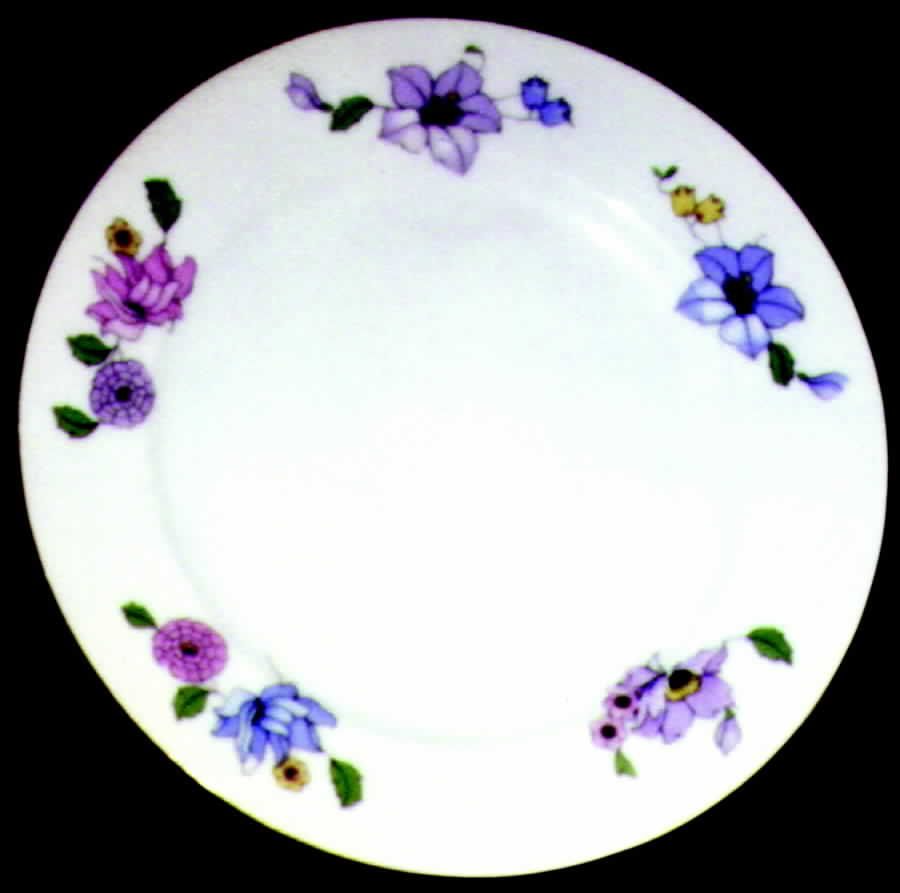 EPI27 Dinner Plate by Epiag-1