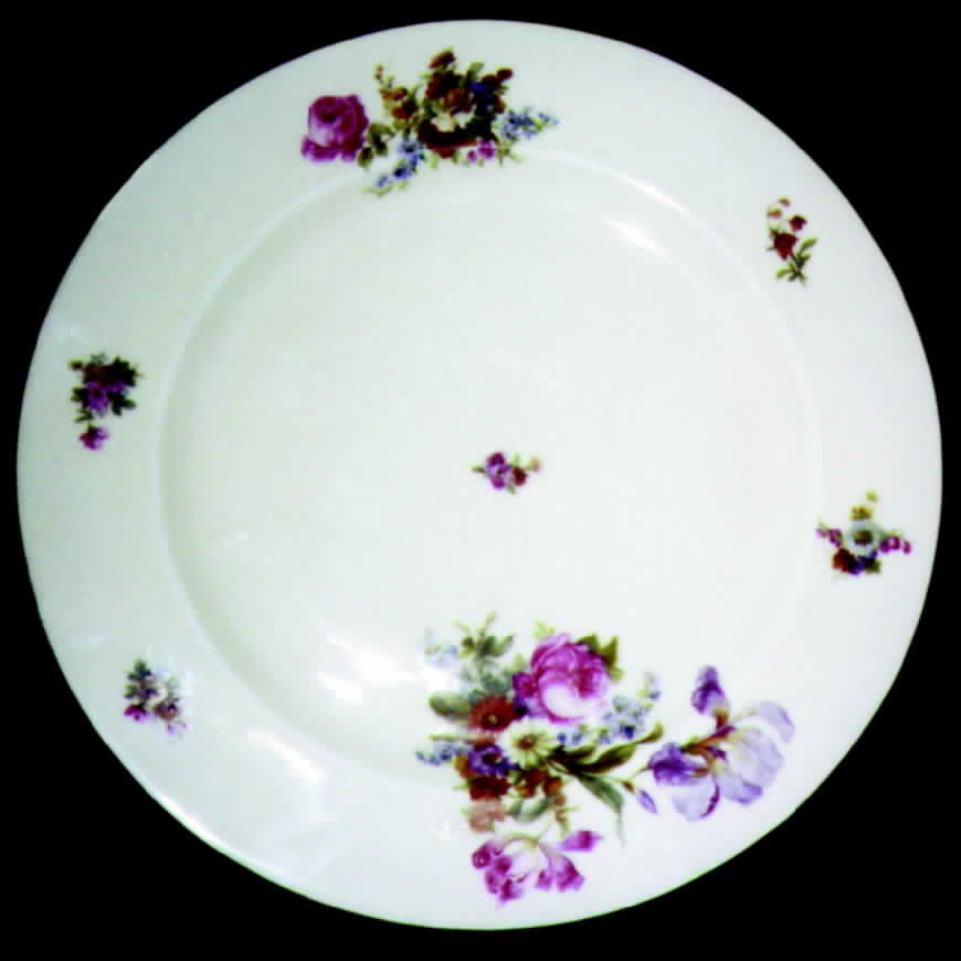 EPI50 Dinner Plate by Epiag-1