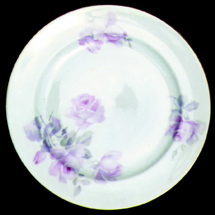EPI51 Dinner Plate by Epiag-1