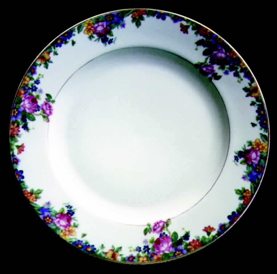 EPI53 Dinner Plate by Epiag-1