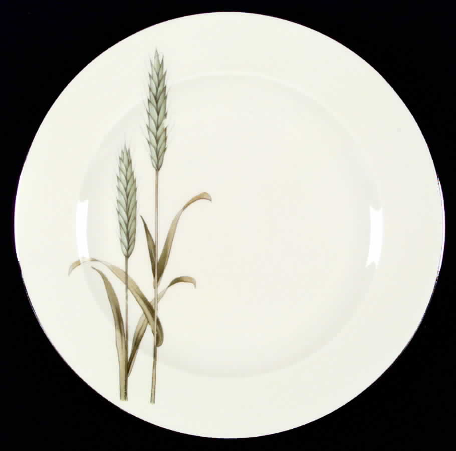 Harvest Dinner Plate by Epiag-1